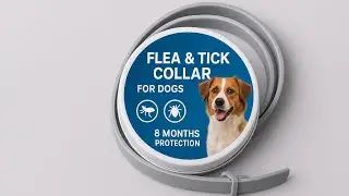 Best flea and tick collar for dogs: Flea and tick collar for dogs (Buying guide)