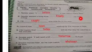 Grade 2 National English Language work with the book P.137+140