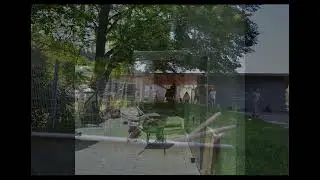 Aufräumaktion 2023 im Tierheim Rottweil