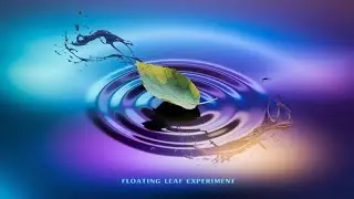 Leaf Floating On Water !! Ink Experiment !! Theory of physics!!viral Experiment!! ❤ By Prahalad Sir