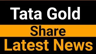 Tata Gold share latest news
