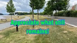 Appreciate what still remains!