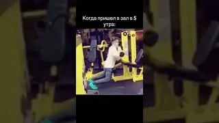 #качалка #gym #gymbro #gymshark #gymrat #powerlifting #prework #preworkout #workout #shorts