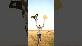 Sparrow Kite #shorts