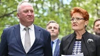 Coalition ‘mess’ providing landmark ‘opportunity’ for One Nation