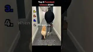 Ranking Unexpected Viral Animal Moments #cuteanimals #funnyshorts #funnyvideo #trynottolaugh