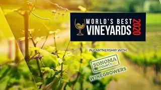 World's Best Vineyards 2020: Top 50 ONLINE REVEAL