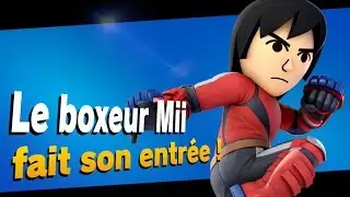 Super Smash Bros. Ultimate : Boxeur Mii