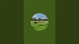 Hungaro Nomads is live!