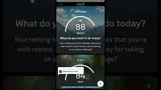 Natural Cycles + Oura Ring