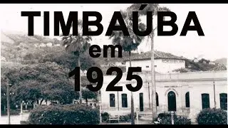 Timbaúba do Meu Tempo - Inauguração do Grupo Prof Cavalcante e Festa da Árvore na Timbaúba Antiga.