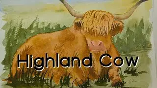 Highland Cow**LIVE**