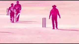 INCL DR GOLD CUP 2022. #cricket #ipl #csk