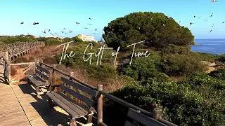 The Gift of Time - Ambient Relaxing Chillstep Music  Instrumental
