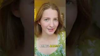 Фурри в школе