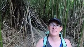 A short guide to Cameron Park in Waco Texas