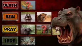 Ranking 7 of the DEADLIEST African Animals