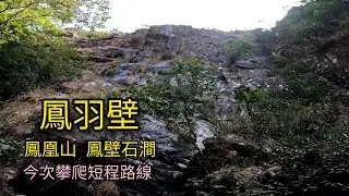 鳳羽壁2022-3-3（山手人）