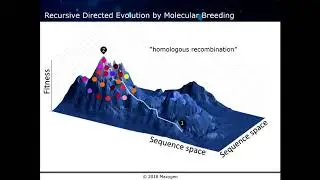 Maxygen Directed Evolution Molecular Breeding