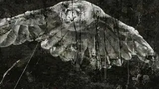 Hegemone  -  .