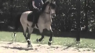 Talent ist nur Übung und Übung macht den Meister /