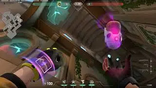 Lotus - Best KillJoy C Lineup