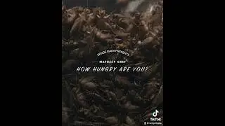 Pure protein #howhungryareyou #hhay #SpicyQuestions #crickets #shorts