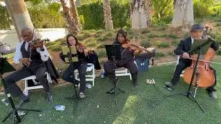OMG: Sunrise (Kygo) Cover String Quartet
