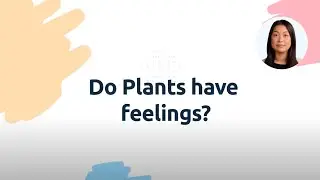 Do plants have feelings