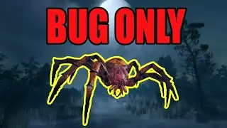 Can You Beat Baldur's Gate 3 as a Bug?