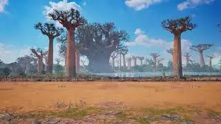 Tekken 8 - Baobab Horizon - Madagascar (Miary Zo Stage) - Whole Stage Animation 4K