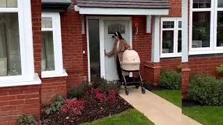 Cybex Balios Almond Beige
