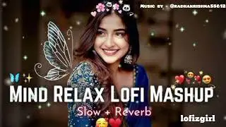 Romantic Lofi Mashup | Instagram Trending Lofi Song | Slowed & Reverb Lo-fi | Music Ns
