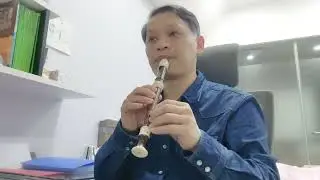 とんぼ (紅蜻蜓) (soprano recorder cover)