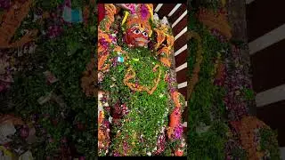🚩🚩🚩#Prayag#bade#hanuman ji mharaj#🙏🙏#🚩🚩🚩#videoshort