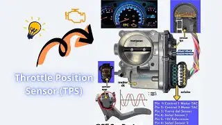how throttle position sensor work and Symptoms of a Bad Throttle Position Sensor