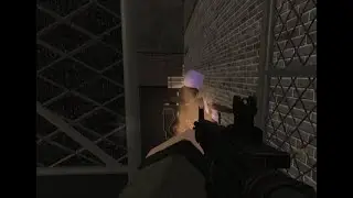 destroying criminality servers #2
