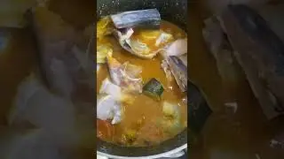 Tenga Shira Curry