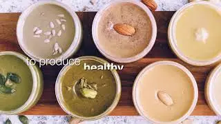 Integrated nut processing solutions