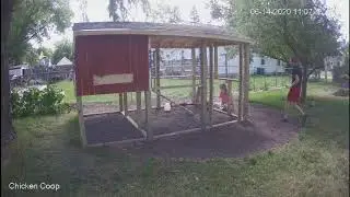 Chicken Coop with run, Day 18