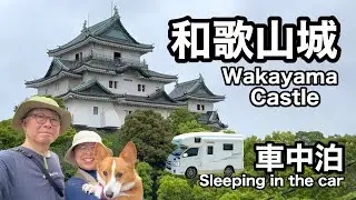 【車中泊】GW③  美しい石垣を持つ和歌山城へ！『野面積み(のづらづみ)／打込接ぎ(うちこみはぎ)／切込接ぎ(きりこみはぎ)』＜第216話＞ #travel #vanlife #corgi