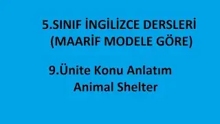 9.&Uuml;nite Konu Anlatım 1 Animal Shelter - İngilizce Dersleri