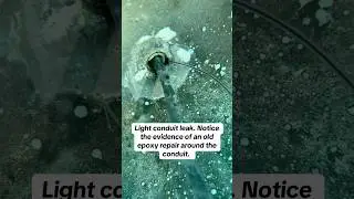 Finding and fixing a leak in a pool light conduit. ￼