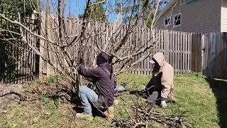 Wyngate Landscaping Service 2024