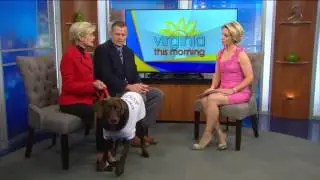 Priority's Holiday Pet Adoptions