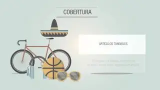 Protecci&oacute;n al Vendedor PayPal
