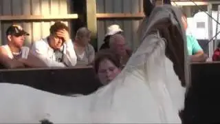 BoyanofGypsyDiamonds@Groenekan.mp4