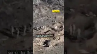 Ukrainian Soldiers Use Loudspeaker to Call Russians to Surrender #warinukraine