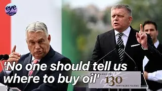 Fico and Orban hit back at EU's Russian oil accusations at Hungarian-Slovak bridge anniversary