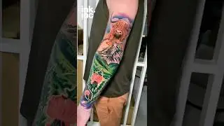 Insane Wildlife Sleeve Tattoos | Realism Animal Tattoo Art | Koala, Kangaroo & Highland Cow Ink